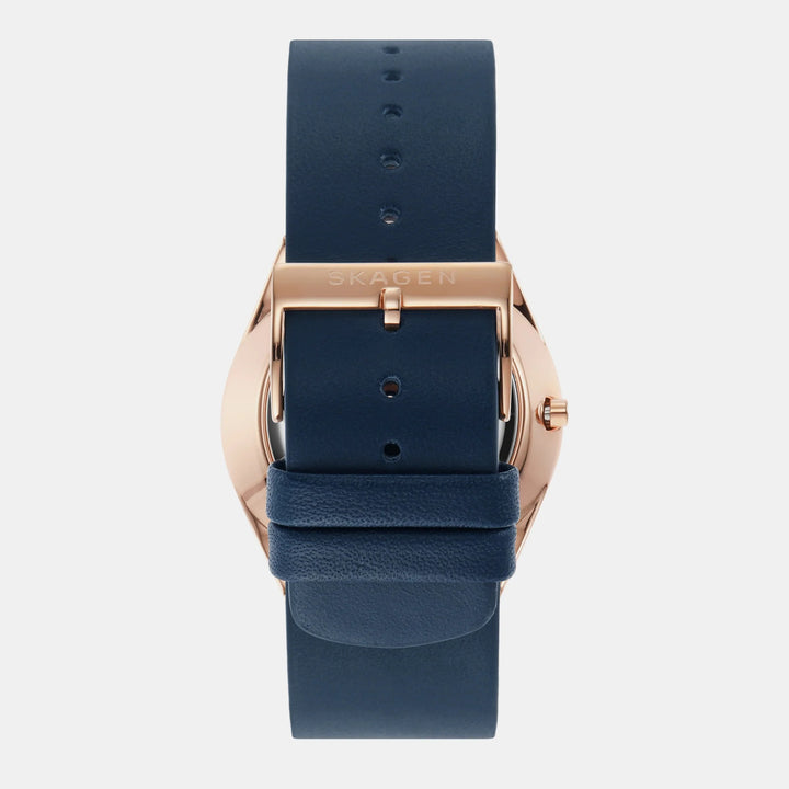 Skagen Grenen SKW6834 Blue Dial Solar Powered Men&